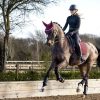 Saddle Pads LeMieux | Soft Shell Anti Slip Dressage Square Burgundy