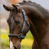 Horse LeMieux Leather Headcollars | Capella Headcollar Atlantic