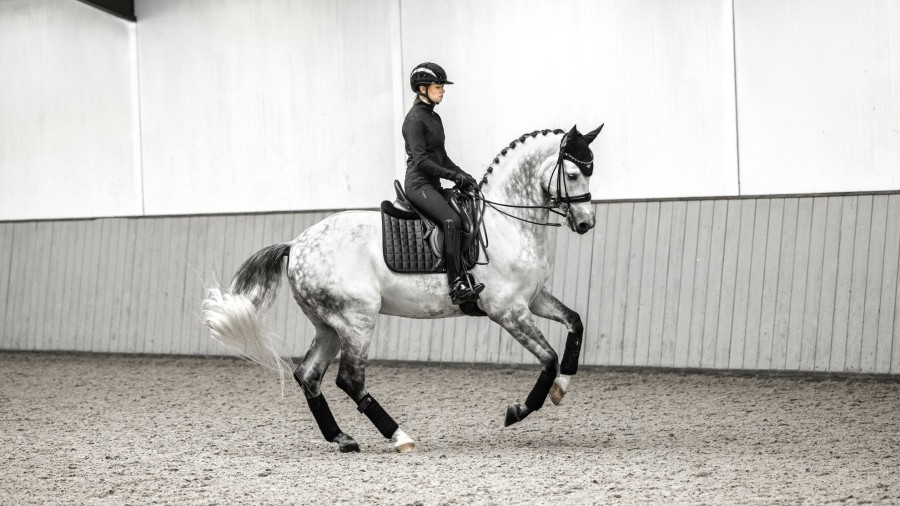 Saddle Pads LeMieux | Loire Classic Dressage Square Black