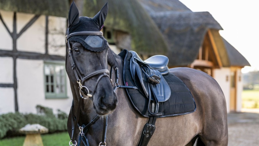 Saddle Pads LeMieux | Gp Work Pad Black