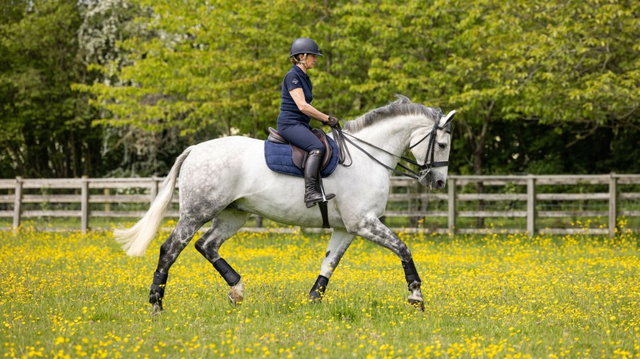 Saddle Pads LeMieux | Gp Work Pad Navy