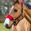 Horse LeMieux Vogue Headcollars | Vogue Headcollar & Leadrope Chilli