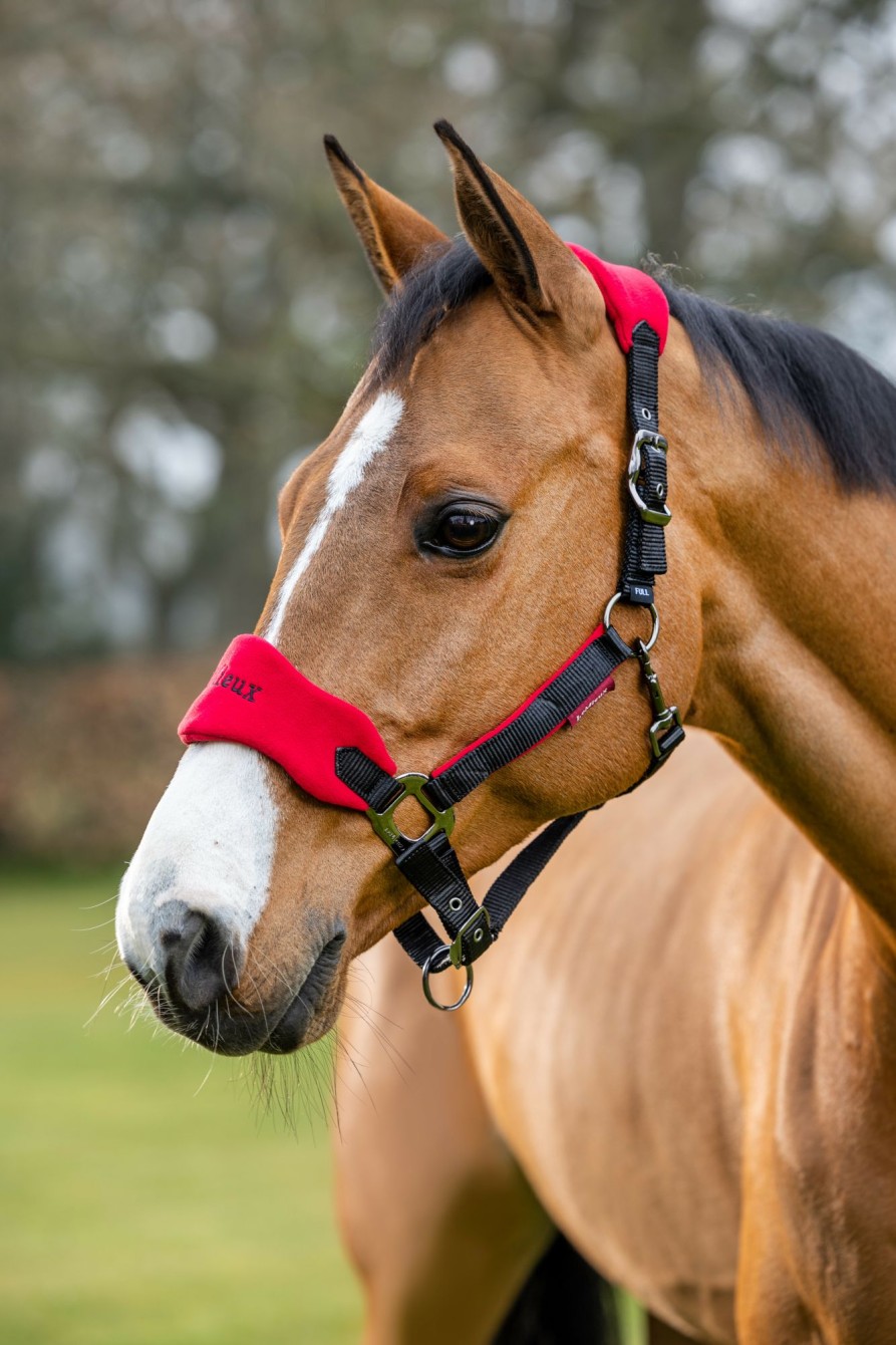 Horse LeMieux Vogue Headcollars | Vogue Headcollar & Leadrope Chilli