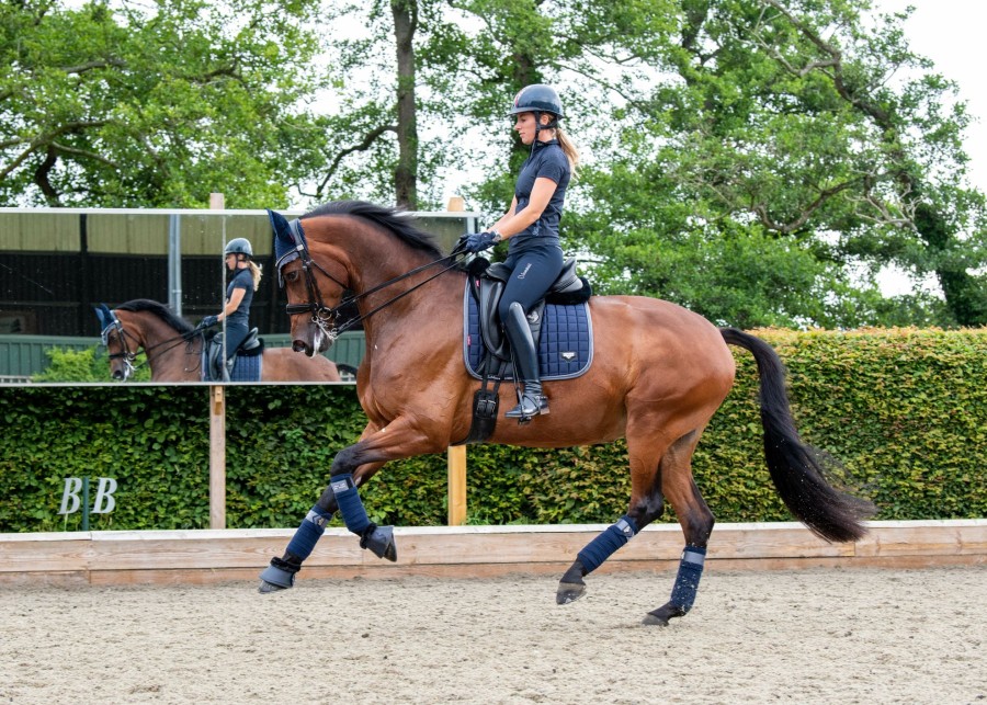 Saddle Pads LeMieux | Loire Classic Dressage Square Twilight Navy