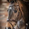 Horse LeMieux Bridles | Kudos Competition Flash Bridle Havana