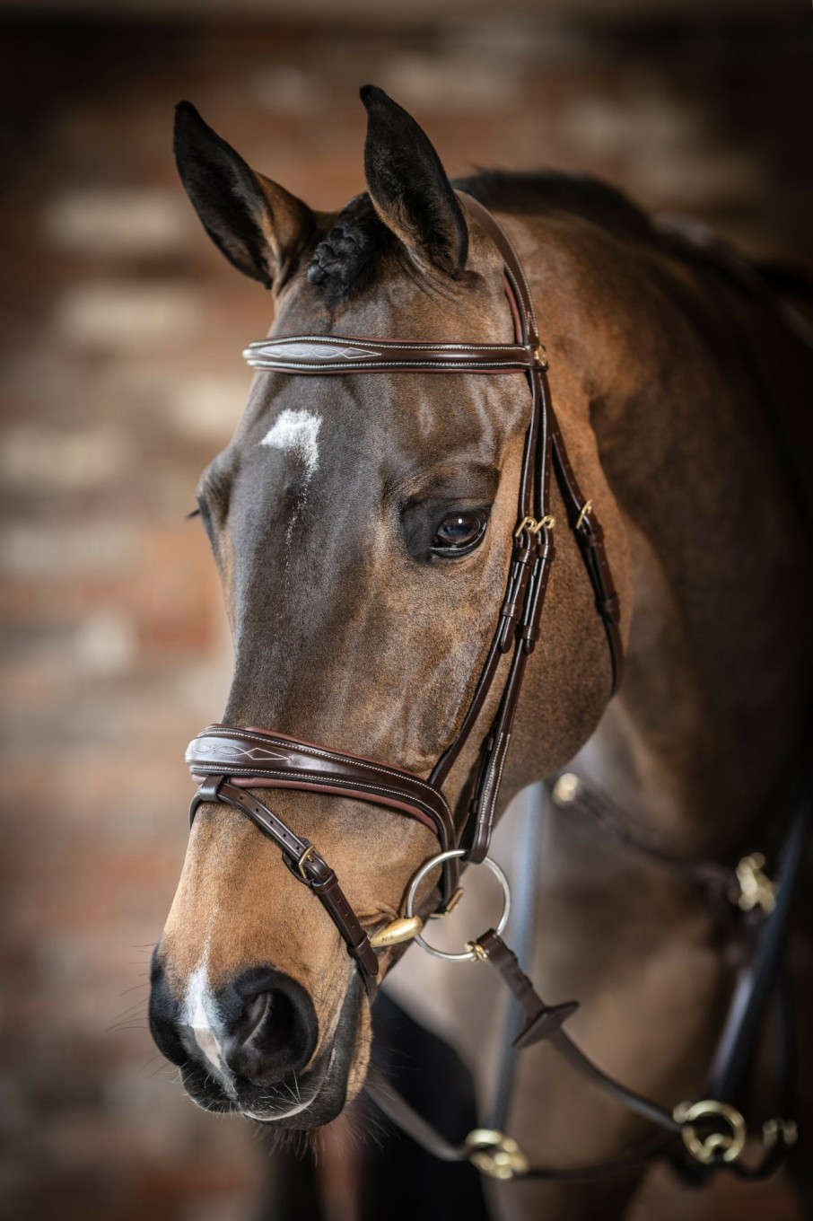 Horse LeMieux Bridles | Kudos Competition Flash Bridle Havana