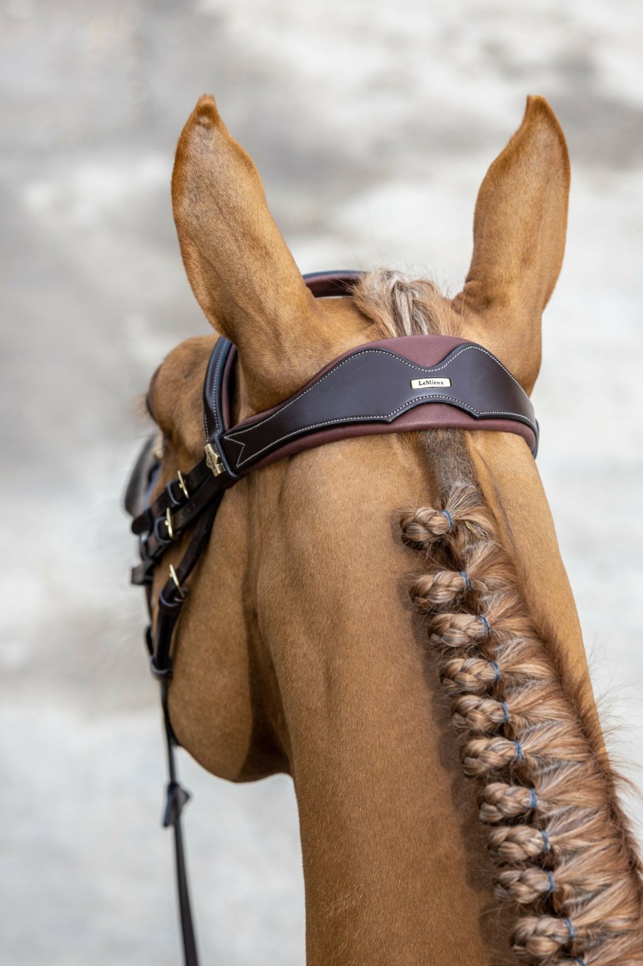 Horse LeMieux Bridles | Kudos Competition Flash Bridle Havana