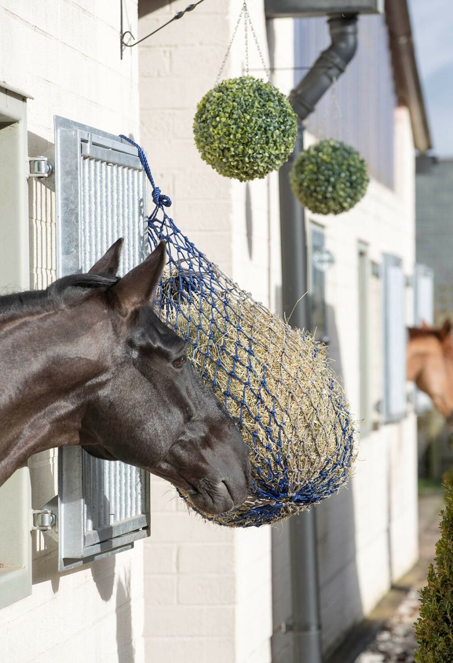 Horse LeMieux Showing & Plaiting | Hippo Haynet Navy One Size