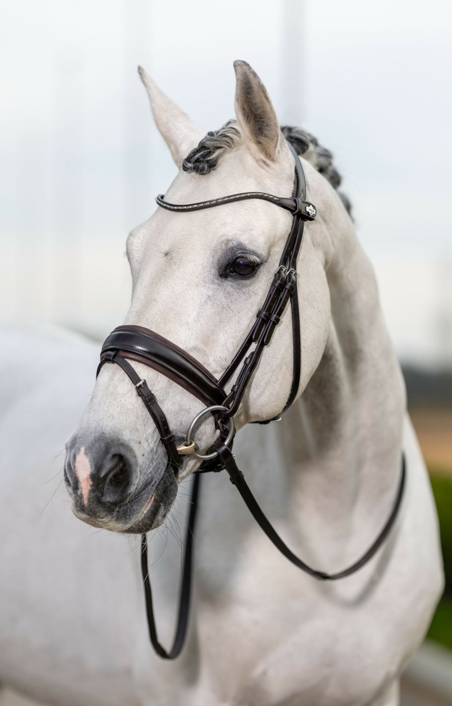 Horse LeMieux Bridles | Kudos Classic Dressage Bridle Brown