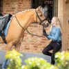 Saddle Pads LeMieux | Loire Classic Dressage Square Ice Blue