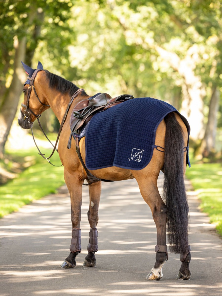 Horse LeMieux Exercise Sheets | Arika Waterproof Quarter Sheet Navy