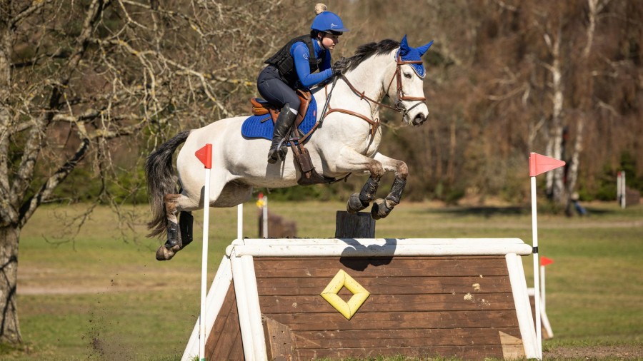 Saddle Pads LeMieux | Cotton Gp Square Benetton Blue