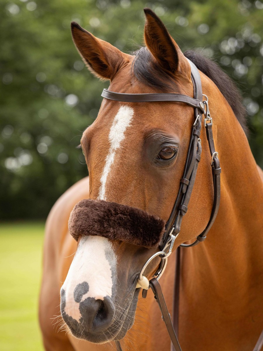 Horse LeMieux Accessories | Simuwool Noseband Cover Brown One Size