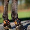 Horse LeMieux Therapy Boots | Magno Pastern Wrap Black One Size