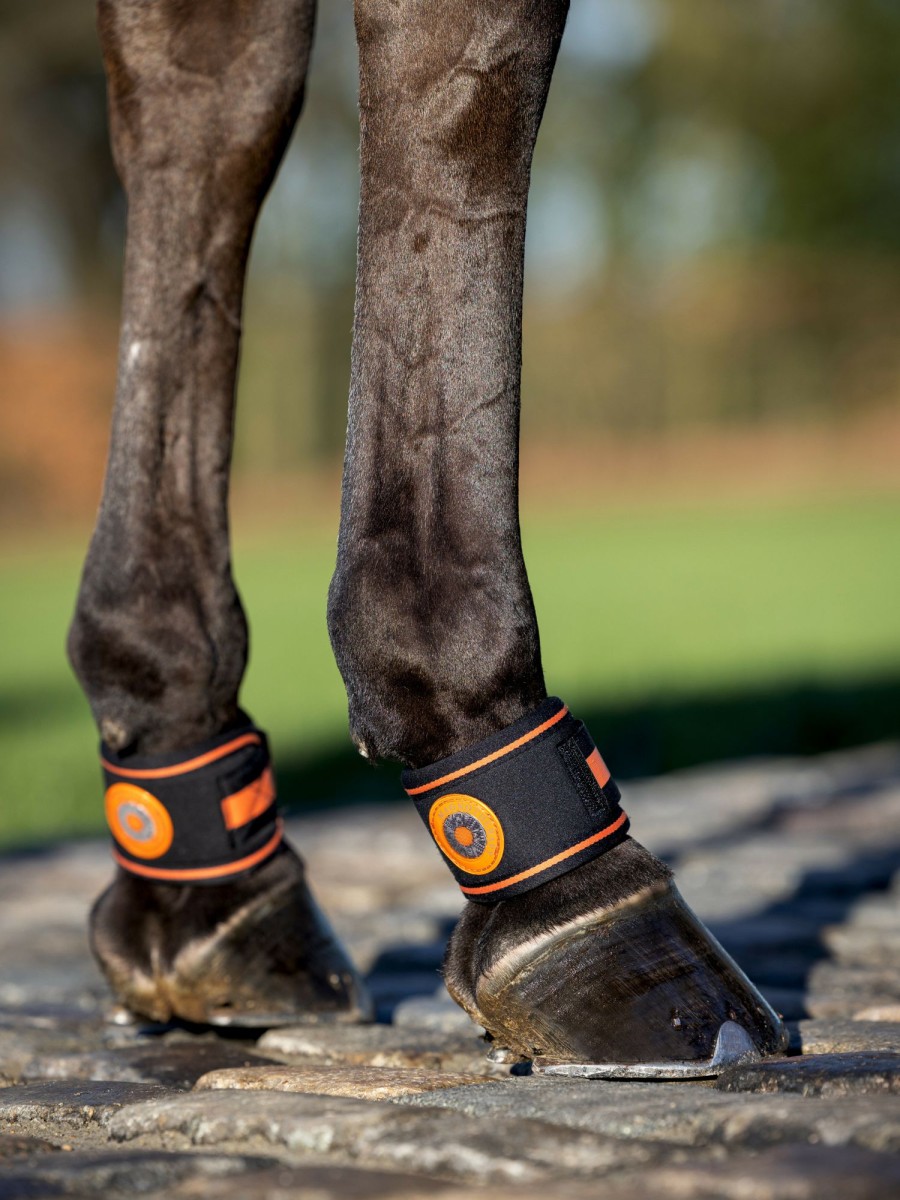 Horse LeMieux Therapy Boots | Magno Pastern Wrap Black One Size