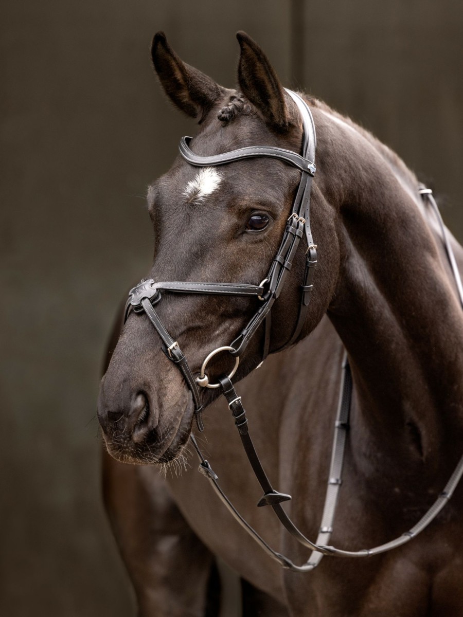 Horse LeMieux Bridles | Arika Grackle Bridle Black/Silver