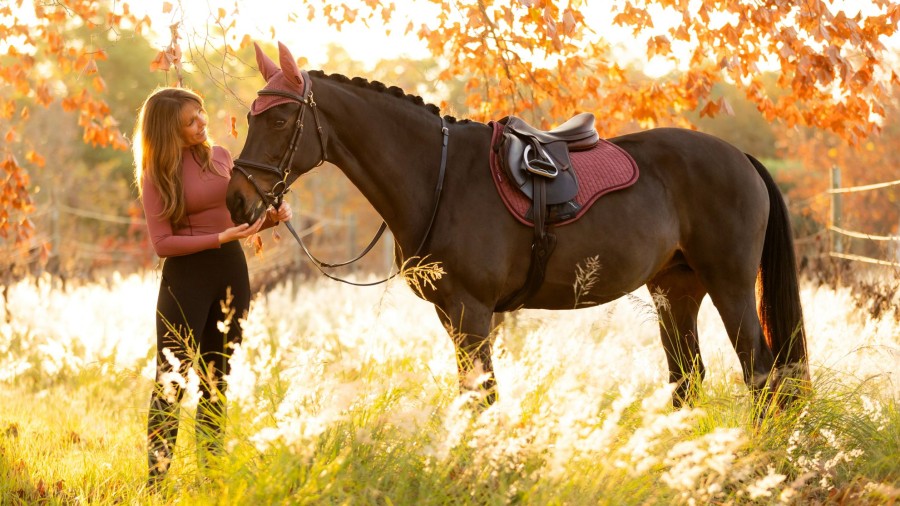 Saddle Pads LeMieux | Suede Gp Square Orchid