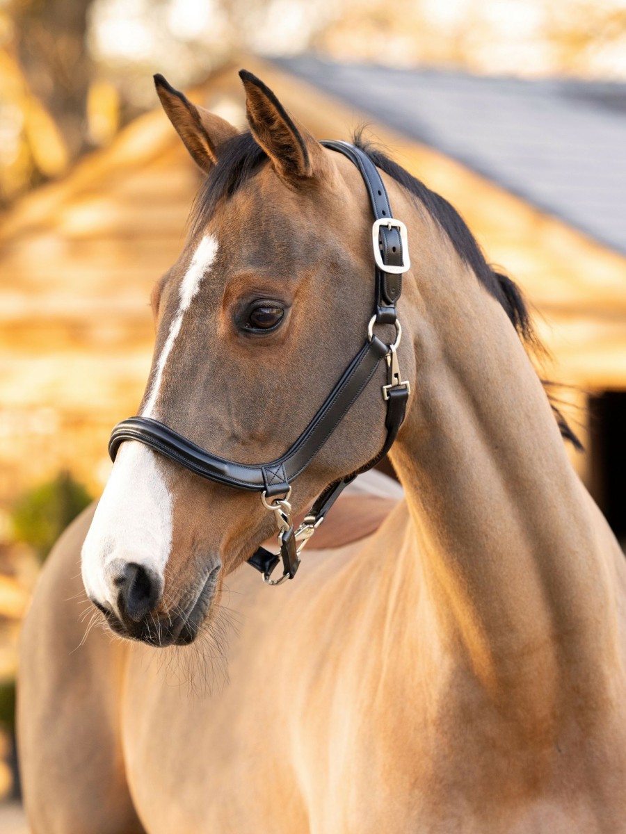 Horse LeMieux Leather Headcollars | Leather Grooming Headcollar Black