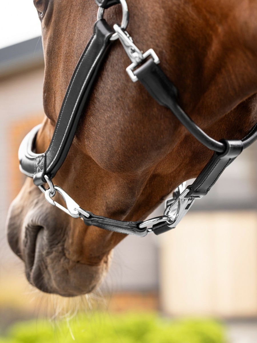 Horse LeMieux Leather Headcollars | Leather Grooming Headcollar Black