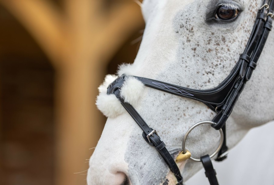 Horse LeMieux Bridles | Kudos Grackle Bridle Black