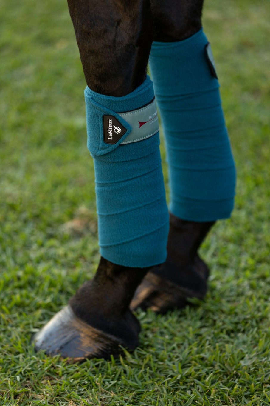 Horse LeMieux Classic Polo Bandages | Classic Polo Bandages Marine