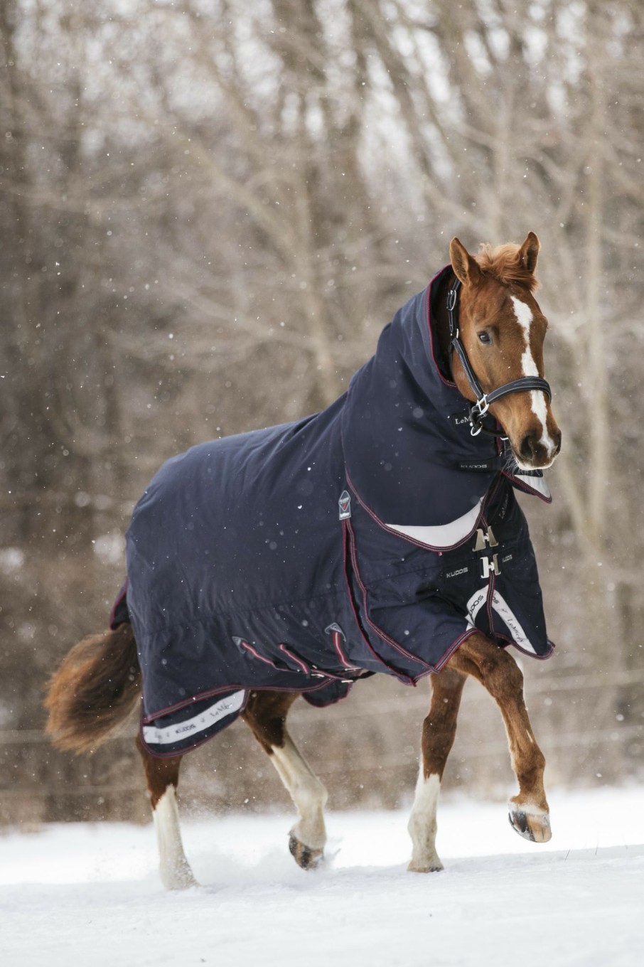 Horse LeMieux Turnout Rugs | Kudos Turnout Rug 350G Navy