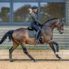 Saddle Pads LeMieux | Suede Dressage Square Oak