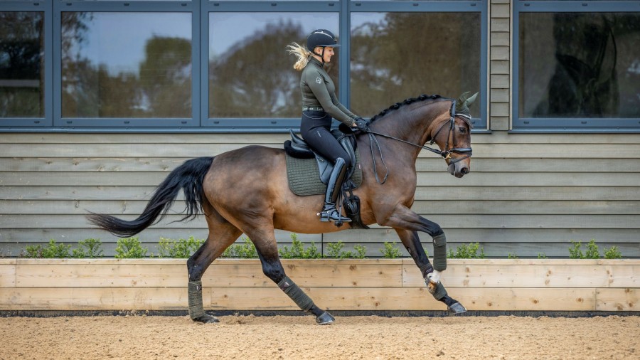 Saddle Pads LeMieux | Suede Dressage Square Oak