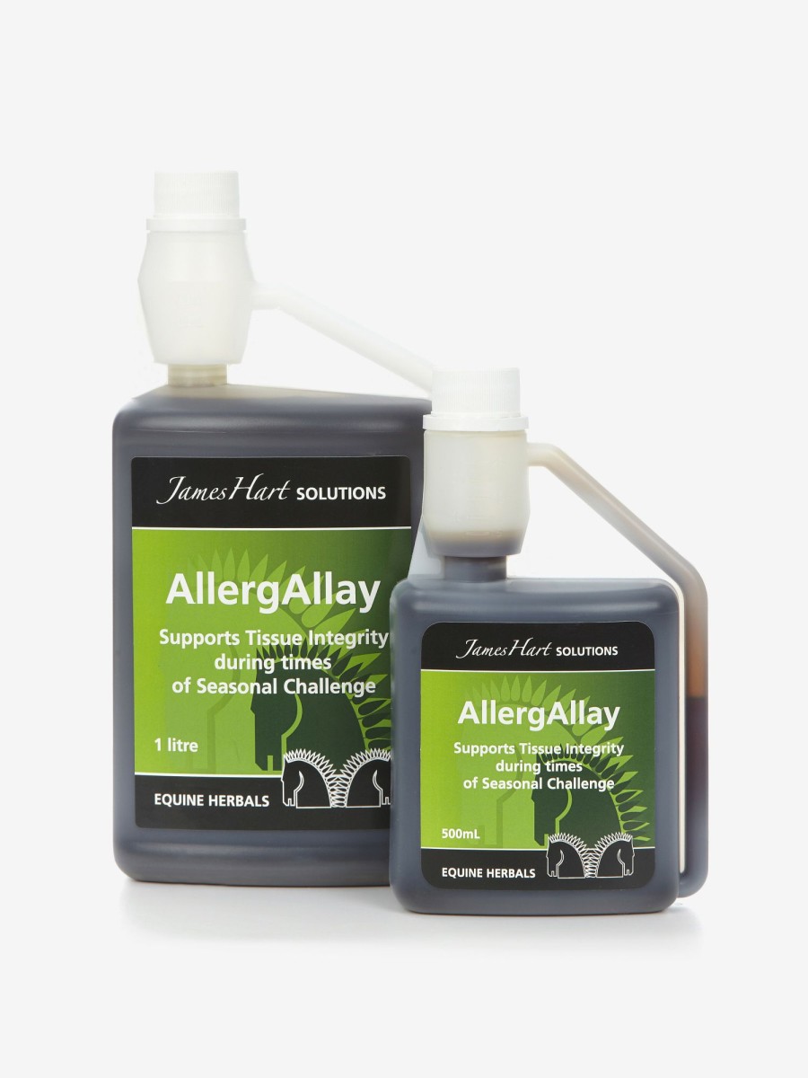 Horse LeMieux Respiratory | Allergallay