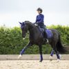 Saddle Pads LeMieux | Loire Classic Dressage Square Ink Blue