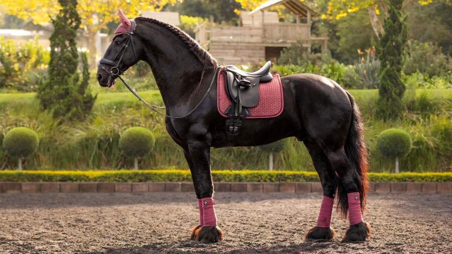 Saddle Pads LeMieux | Suede Dressage Square Orchid