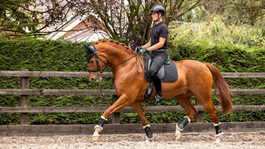 Saddle Pads LeMieux | Soft Shell Anti Slip Dressage Square Black