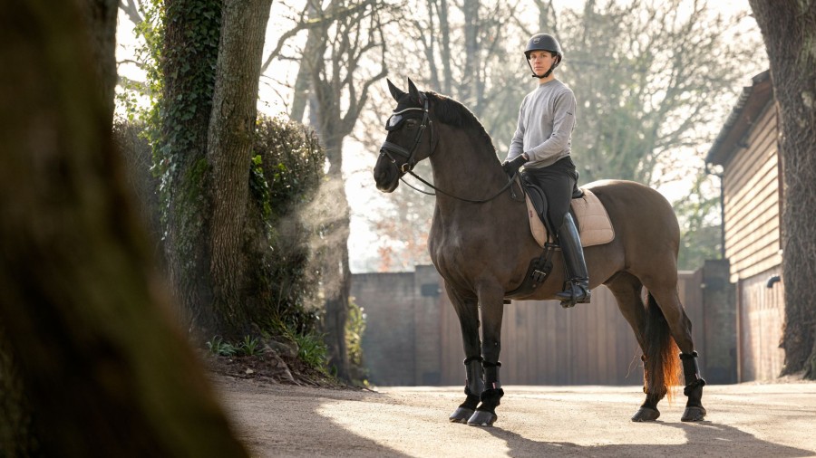 Saddle Pads LeMieux | Dressage Work Pad Mink Large