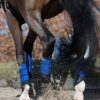 Discipline LeMieux Brushing Boots | Grafter Brushing Boot Benetton Blue