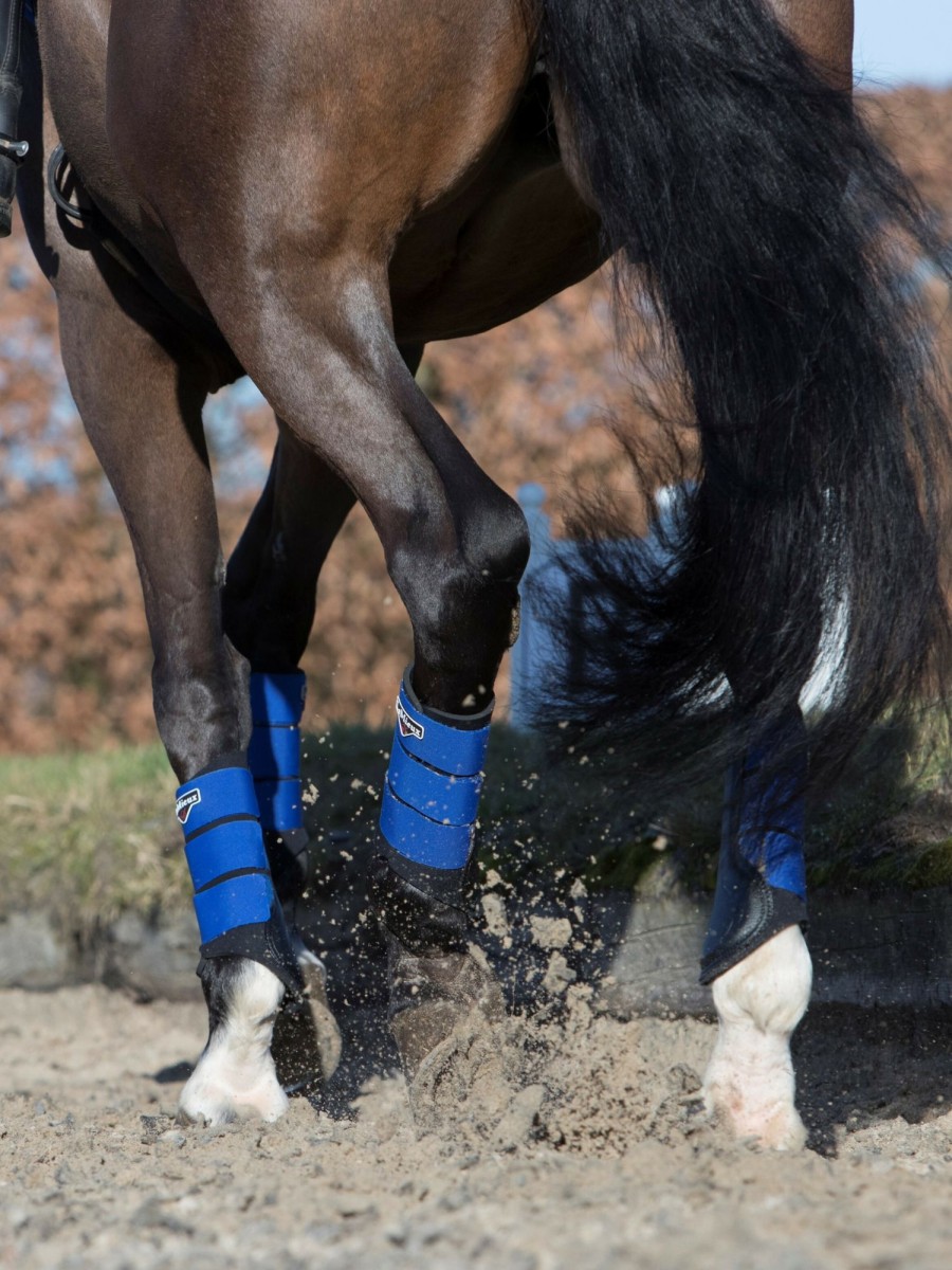 Discipline LeMieux Brushing Boots | Grafter Brushing Boot Benetton Blue