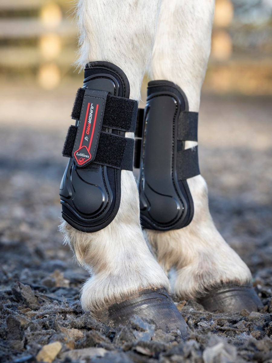 Horse LeMieux Tendon & Fetlock Boots | Junior Pro Tendon Boots Black