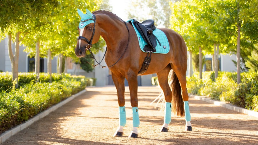 Horse LeMieux Loire Polo Bandages | Loire Polo Bandages Azure