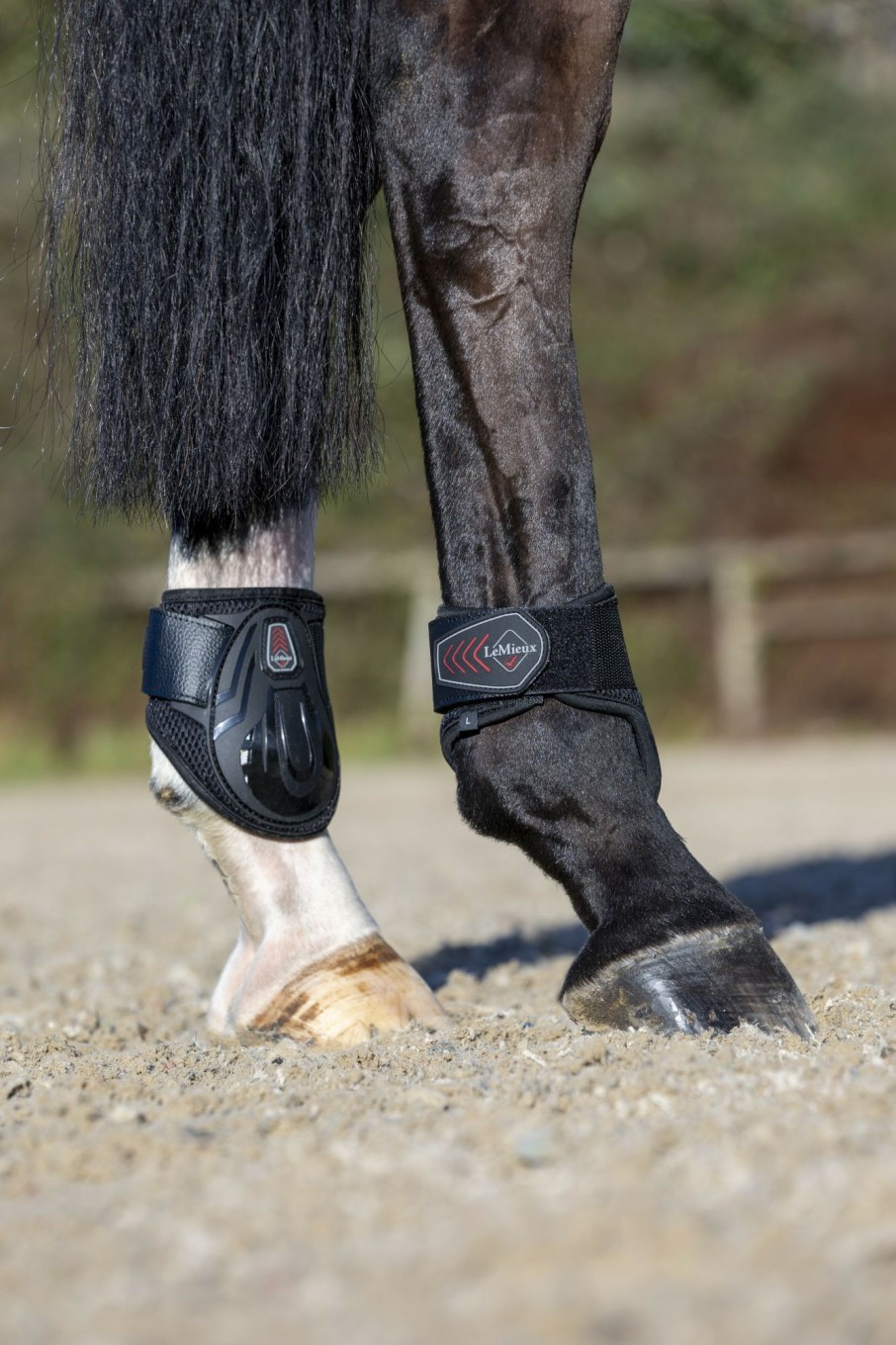 Horse LeMieux Tendon & Fetlock Boots | Derby Projump Fetlock Boot Black