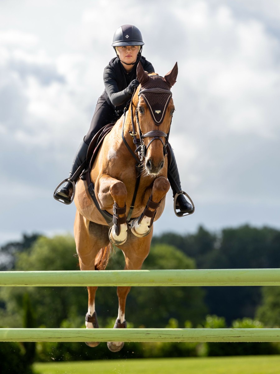 Horse LeMieux Tie Down Fly Hoods | Puissance Fly Hood Brown