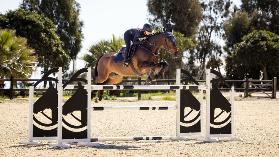 Saddle Pads LeMieux | Classic Jump Square Navy One Size