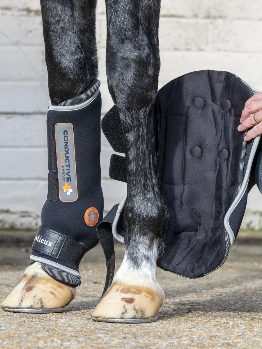 Horse LeMieux Therapy Boots | Conductive Magno Boots