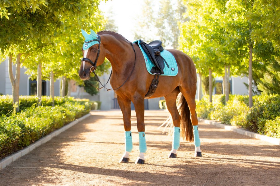 Saddle Pads LeMieux | Loire Classic Dressage Square Azure