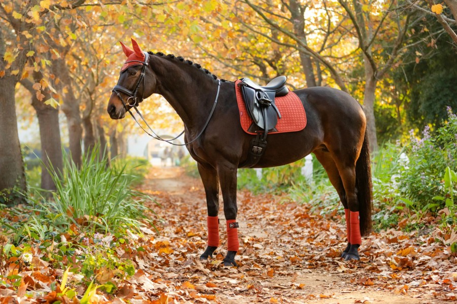 Saddle Pads LeMieux | Suede Dressage Square Sienna