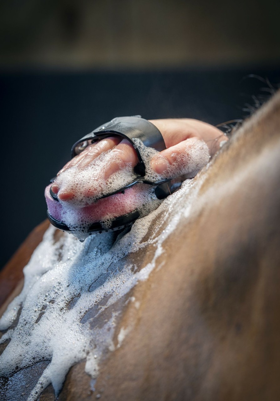 Horse LeMieux Brushes | Hippo Scrubber Black One Size